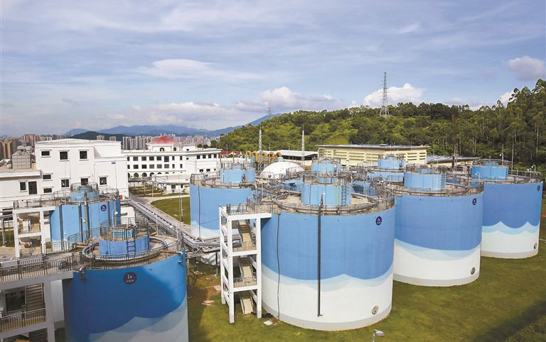 餐廚垃圾發(fā)電廠脫硝